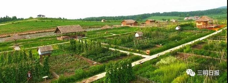 寧化這4家農場擬被評省示范單位，有你熟悉的嗎？