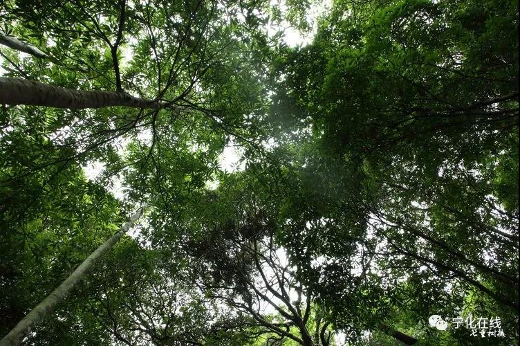 寧化綠水青山，等你來拍它們最美的樣子！最高獎金3000元哦！