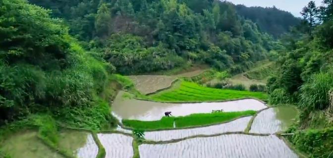 央視鏡頭里，寧化這個地方竟如此神秘、祥和、歡樂……