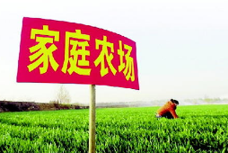 祝賀！寧化這4家家庭農(nóng)場(chǎng)被評(píng)為省級(jí)示范！