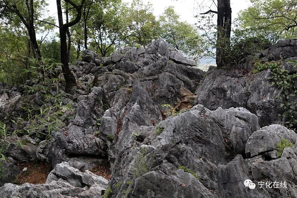 寧化·石林覓趣