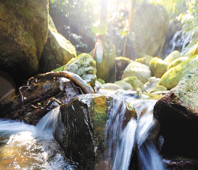 到海南中部觀瀑登山探幽——那抹綠，染醉了誰的眼