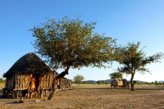 想去非洲國家旅游？權威部門：近期要注意預防霍亂
