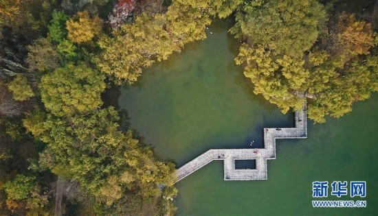 “塞上湖城”秋色濃