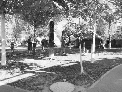 飯店為何開進減災公園