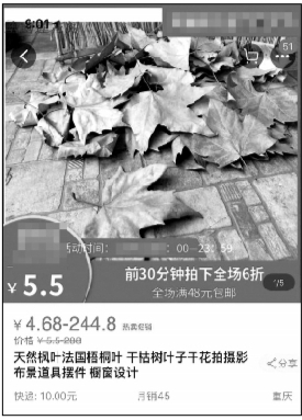 網購落葉為哪般？專家：當心存在衛生隱患