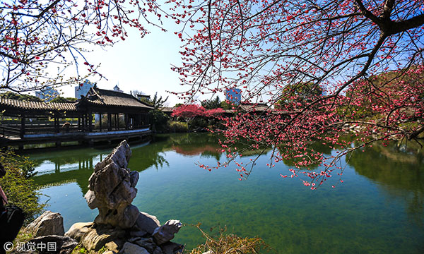 浙江寧波 天一閣