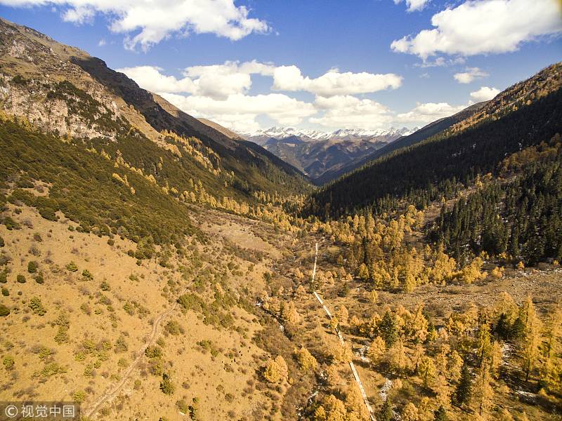 最適合自駕的線路，一條80里亞洲最美的彩林帶