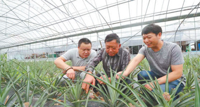 鄉村采摘游拓寬致富路