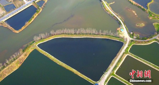 江西九龍山田園風光如調色板