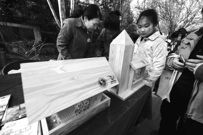 北京公園科普月教您識飛鳥