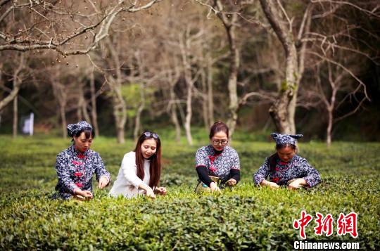 清明小長假安徽旅游收入超92億元 鄉村游蓬勃發展