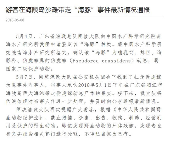 游客海邊扛走偽虎鯨幼崽尸體 相關部門稱不得據(jù)為己有