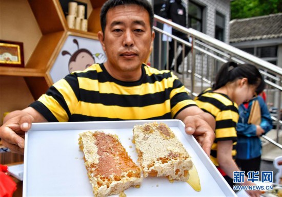 燕山深處崖蜜飄香