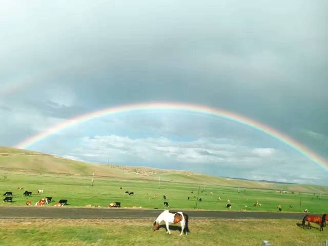 不到這里不知草原之美！看完立即就決定要去的地方！