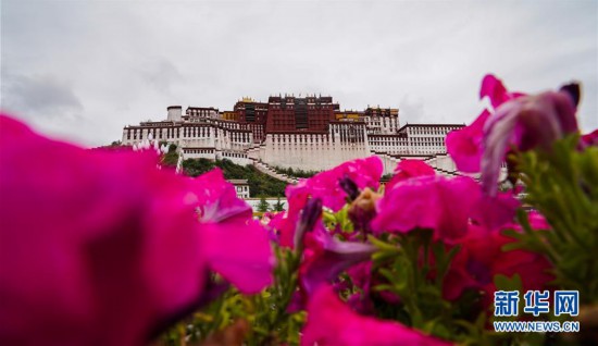 布達拉宮開辟新參觀線路