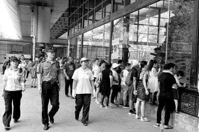 游客投喂傷害動物將面臨行政處罰