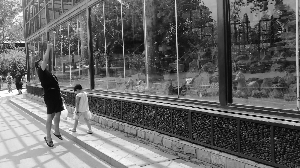 動物園亂投喂屢禁不止：小動物們不餓 亂投喂是害它們