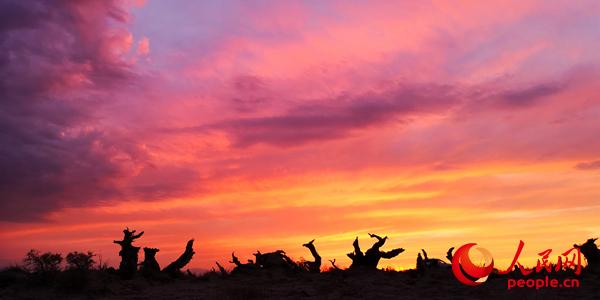 新疆哈密：大力發展全域旅游 推動各產業深度融合