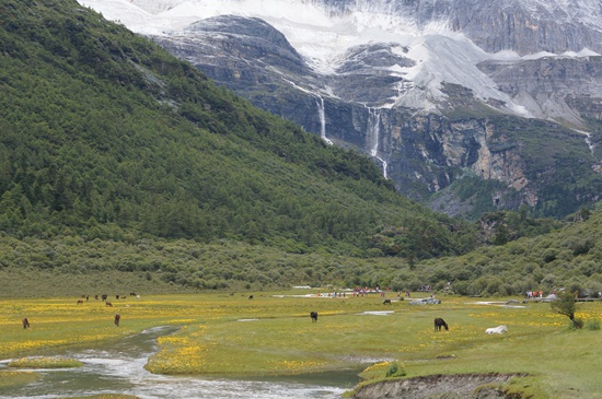 只買門票“沒法玩” 景區內交通花費成游客另一大負擔