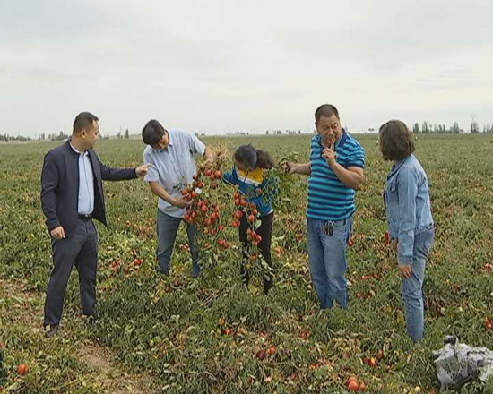 農(nóng)業(yè)振興 鋪就農(nóng)民致富路