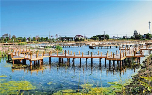 水沛、景美、業旺、民富 足不出“滬”也有詩畫田園