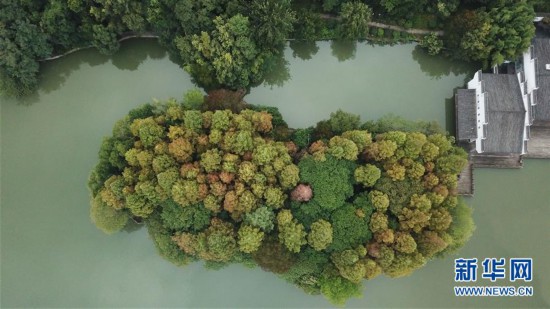 合肥：環(huán)城公園秋色美