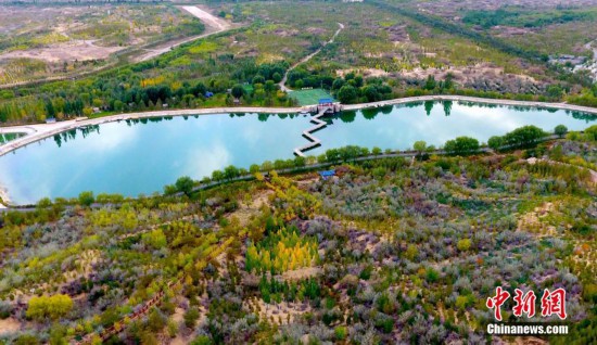 寧夏白芨灘 昔日“沙洲”變“綠洲”