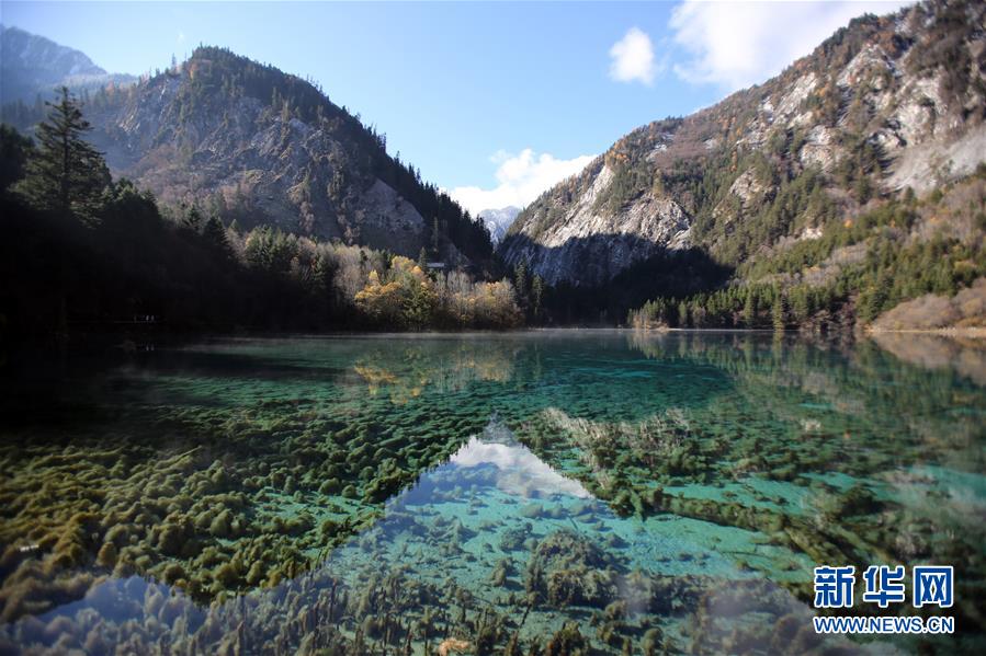 九寨溝秋景醉游人