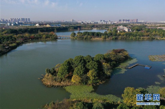 江蘇昆山：濕地公園美