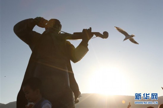 云南昆明：紅嘴鷗遷徙過冬