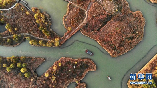 濟西濕地醉夕陽