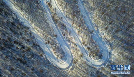 阿爾山雪域樹影