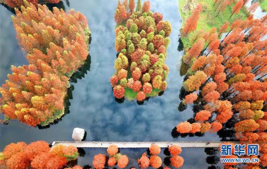 上海：冬日暖景