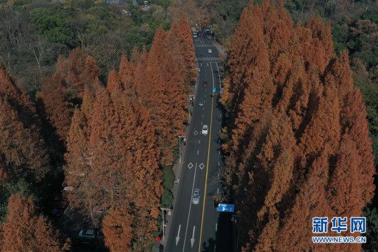 冬日西湖色彩斑斕