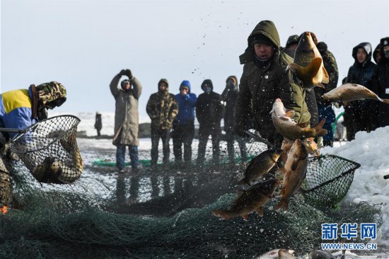 內蒙古雪原上的冬捕