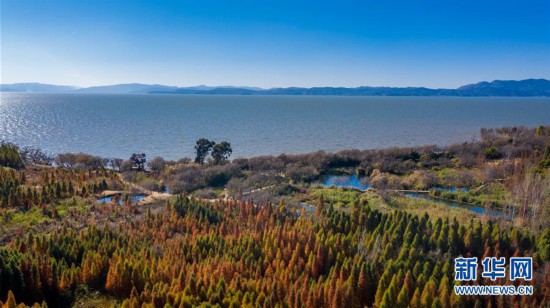 （環境）（3）冬日春城