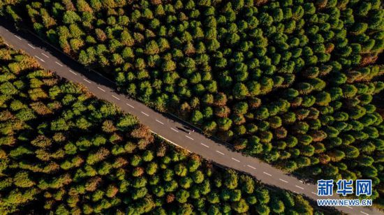 （環(huán)境）（2）冬日春城