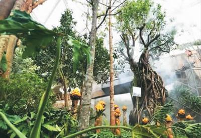 北京世園會：美美與共 融和綻放