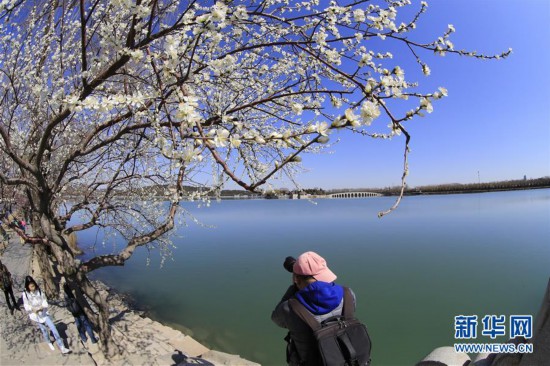 頤和園春光醉游人