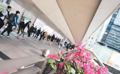 穿行樓宇間，最有大都市味道（游香港）