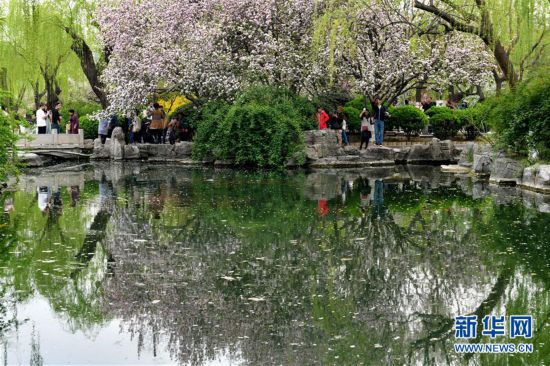 山東濟(jì)南：樂(lè)享好春光