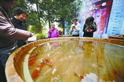 景山公園首次舉辦春季文化活動