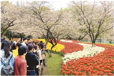 多地迎來賞花潮