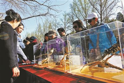 公園試點“生態觀賞區”