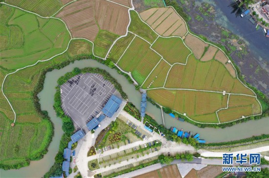 廣西靖西：田園風光美