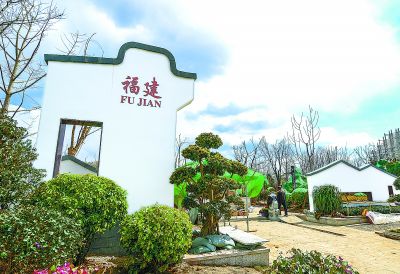“鐵樹開花”亮相世園會福建園