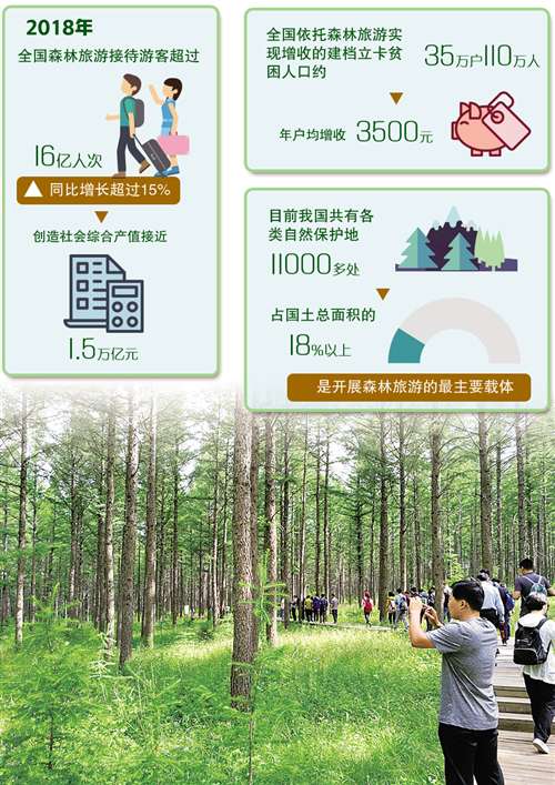 產(chǎn)品單調(diào)雷同、特色不足 森林深度游還缺啥？