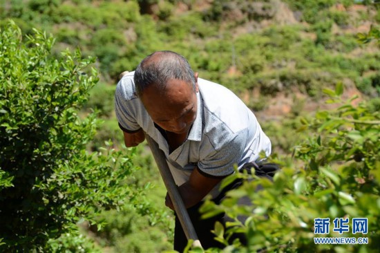福建長汀：換顏“山光水濁” 永駐綠水青山