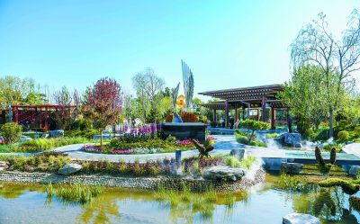 河北園里賞燕趙花秀